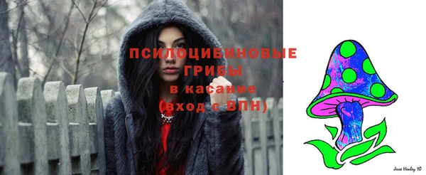 скорость Бронницы