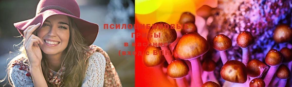 скорость Бородино