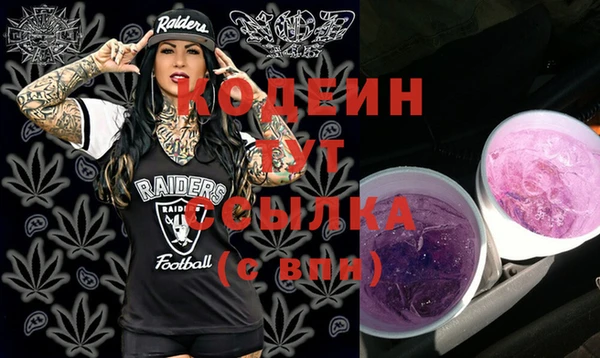 скорость Бородино