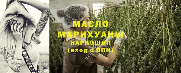 мдпв Богородицк