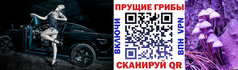 Псилоцибиновые грибы мицелий купить наркотик Эртиль